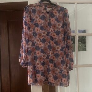Brand new never worn aritzia Wilfred Pink and Blue Floral Long Sleeve Dress